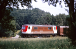 Lokomotiva: 1099.007-5 | Vlak: R 6883 ( St.Plten Hbf. - Mariazell ) | Msto a datum: Kammerhof 08.08.1995