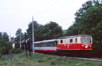 Lokomotiva: 1099.008-3 | Vlak: Vg 71204 ( Kirchberg a.d.Pielach - St.Plten Alpenbahnhof ) | Msto a datum: Hofstetten-Grnau 08.08.1995