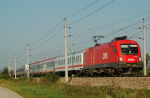 Lokomotiva: 1116.217-9 | Vlak: EN 491 Hans Albers ( Hamburg-Altona - Wien Westbf. ) | Msto a datum: Gross Sierning 06.08.2008