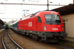 Lokomotiva: 1216.233 | Vlak: EC 73 Smetana ( Praha hl.n. - Wr.Neustadt Hbf. | Msto a datum: Brno hl.n. (CZ) 18.09.2013