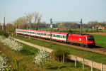 Lokomotiva: 1216.237 | Vlak: EC 173 Vindobona ( Hamburg-Altona - Villach Hbf. ) | Msto a datum: abice (CZ) 25.04.2010