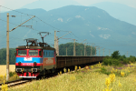 Lokomotiva: 40-1020-7 | Vlak: DTV 30641 (Ilijanci - Razdelna ) | Msto a datum: Christo Danovo 26.06.2008