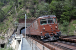 Lokomotiva: Re 4/4 179 + Re 4/4 171 | Vlak: IM 40087 ( Zeebrugge - Oleggio ) | Msto a datum: Hohtenn 21.06.2006