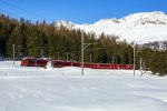 Lokomotiva: ABe 8/12 3514 | Vlak: R 4621 ( St.Moritz - Tirano ) | Msto a datum: Pontresina 09.02.2022