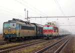 Lokomotiva: 363.031-6 + 350.018-8 | Vlak: Nex 47316 ( Devnska Nov Ves - Leipzig ) + EC 170 Hungaria ( Budapest Kel.pu. - Berlin Hbf. ) | Msto a datum: Sekule (SK) 19.01.2011