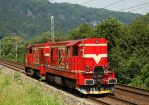 Lokomotiva: 742.260-3 + 742.529-1 | Vlak: Lv 48367 ( Bad Schandau - Dn-Prostedn leb ) | Msto a datum: Doln leb zastvka 25.06.2016