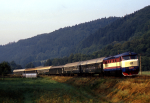 Lokomotiva: 749.245-7 | Vlak: R 937 Pradd ( Brno hl.n. - Jesenk ) | Msto a datum: Hanuovice 20.08.1995