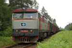 Lokomotiva: 751.223-9 | Vlak: Mn 88543 ( Vesel nad Lunic - esk Velenice ) | Msto a datum: esk Velenice 19.06.2010