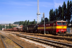 Lokomotiva: 752.064-6 + 752.079-4 | Vlak: Mn 84156 ( Okky - Jihlava ) | Msto a datum: Okky 13.08.1995