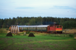 Lokomotiva: 753.101-5 | Vlak: Sp 1764 Junk ( Brno hl.n. - Plze hl.n. ), odklon R 664 | Msto a datum: Tbor 15.08.1996