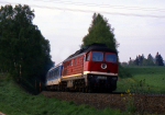 Lokomotiva: 232.091-9 | Vlak: IR 2661 ( Nrnberg Hbf. - Dresden Hbf. ) | Msto a datum: Marktleuthen 16.05.1995