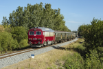 Lokomotiva: M41.2103 | Vlak: Sz 7727 ( Bkscsaba - Szeged ) | Msto a datum: Algy 19.09.2021