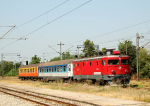Lokomotiva: 441-604 | Vlak: P 2401 ( Subotica - Beograd ) | Msto a datum: Novi Sad 19.08.2013