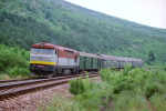 Lokomotiva: 751.055-5 | Vlak: Os 8910 ( Koice - Pleivec ) | Msto a datum: Hrhov 04.06.1996